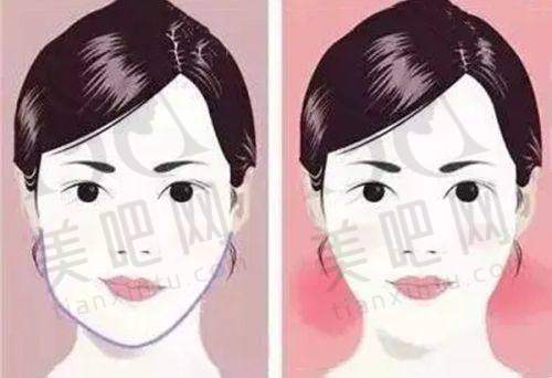 价格与优惠情况