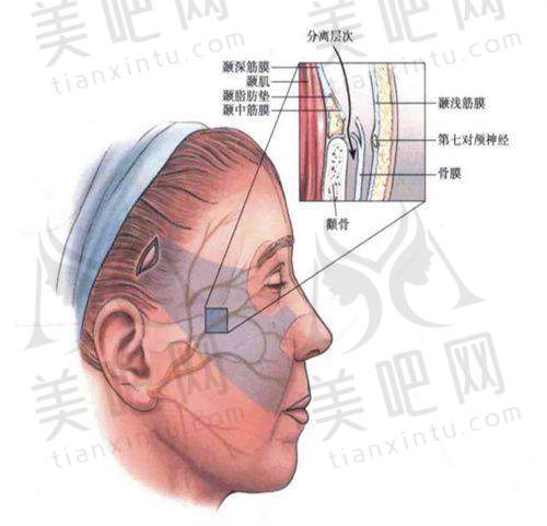 顾客选择整形医院的考虑因素