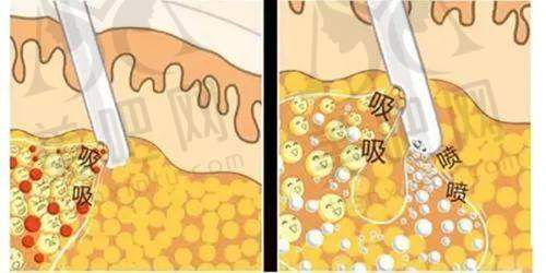 热门项目及价格参考