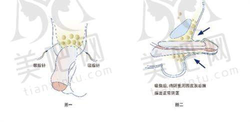 行业排名情况