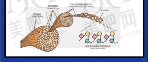哈尔滨整形市场环境