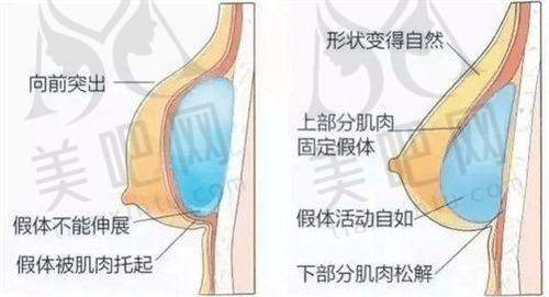 价格与性价比