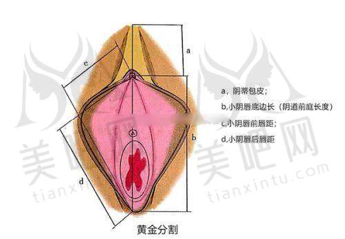 郑州金水美诗沁医疗美容诊所咋样？祛眼袋、脂肪填充脸部靠谱，李东亮医生技术好