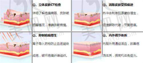 医师团队