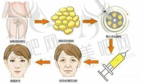 顾客口碑反馈